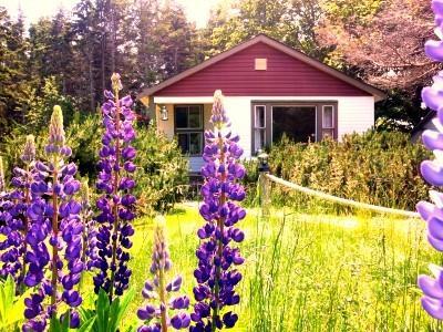 Goodview Cottages By Stanhope Beach Pei For Adults Only Kültér fotó