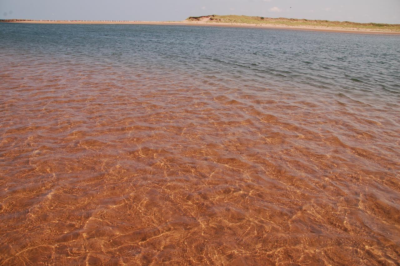 Goodview Cottages By Stanhope Beach Pei For Adults Only Kültér fotó